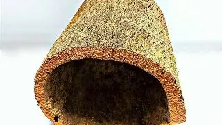 Decor tunel pluta naturala Large