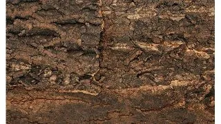Background natural Repti Planet cork natural 58 5x56x2cm