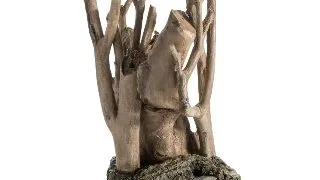 Decor radacini Oase biOrb Earth Root M