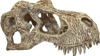 Decor terariu craniu de dinozaur Komodo T-Rex Skull S