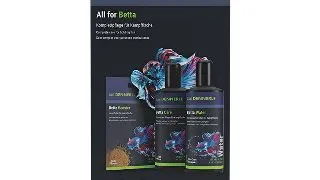 Set conditioneri si hrana Dennerle All for Betta