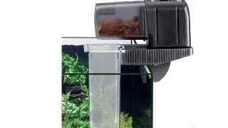 Inel hranire Eheim FeedingSTATION