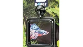 Inel de hranire Hobby Feeding Station 2 10x10cm