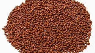 Hrana cichlide carnivore Dennerle Cichlid Carny Granule 200ml