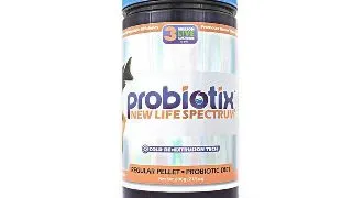 Hrana pesti New Life Spectrum PROBIOTIX Large  600g