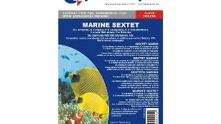 Hrana congelata Sextet Marine blister 100g