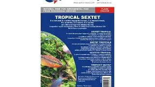 Hrana congelata Sextet Tropical blister 100g