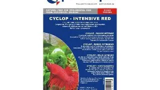 Hrana congelata Cyclops blister 100g