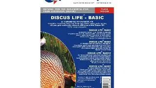 Hrana congelata Discus Life basic 100g