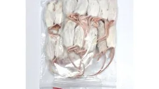 Soareci congelati mici Mouse small +/- 10-15 gr 15 buc
