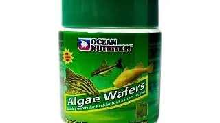 Hrana pesti sanitari Ocean Nutrition Algae Wafers 150g