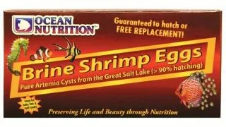 Oua de artemia Ocean Nutrition Brine Shrimp Eggs (cutie) 20g