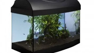 Acvariu din sticla Diversa Curb LED 40 Negru Curb 6W 40x25x25cm