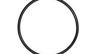 O-Ring filtru Dennerle Scaper's Flow