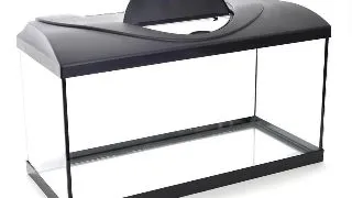 Acvariu din sticla Diversa LED 80 Negru 80x35x40cm