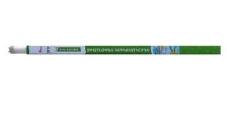 Neon T8 Diversa Opti Natural 18W 60cm