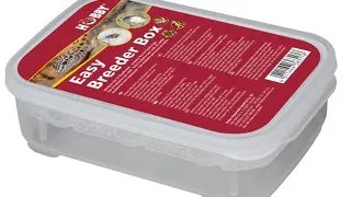 Cutie incubator Hobby Easy Breeder Box