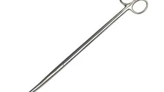 Foarfeca inox Hobby dreapta 30cm