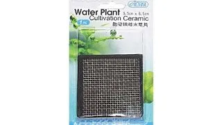 Suport ceramic cultivare plante 6.5x6.5 cm Ista