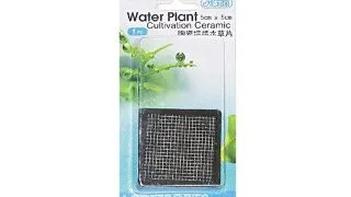 Suport ceramic cultivare plante 5x5 cm Ista