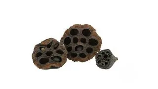Ascunzatoare naturala CeramicNature Lotus pods