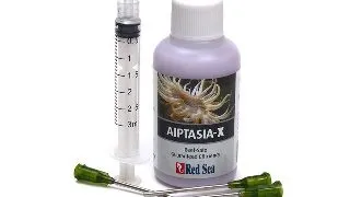Red Sea Aiptasia-X 60ml