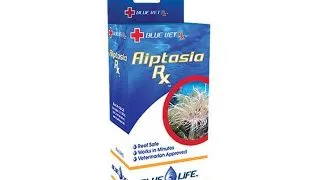 Solutie anti-anemone Aiptasia RX