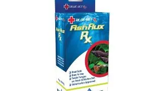 Medicament antifungic Blue Life Fish Flux RX 2000mg