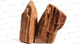 Piatra Aquadeco Stonewood roscata 0.8-1.2kg