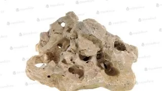 Piatra Sansibar Rock L 2.0-3.0 kg
