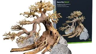 Decor lemn si piatra naturala Bonsai Box Dennerle