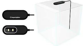 Lampa Led light AquaLighter Pico Tablet black 1W