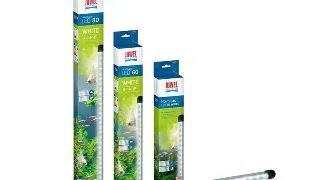 Lampa Led NovoLux LED 60 white JUWEL