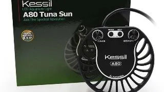 Lampa acvariu LED Kessil A80 Tuna Sun