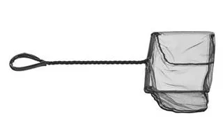 Minciog Oase 8 cm