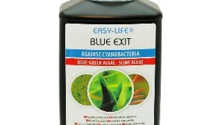 Easy Life Blue Exit 1000 ml