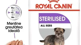 Royal Canin Sterilised Adult hrana umeda caine sterilizat (pate), 12 x 85 g