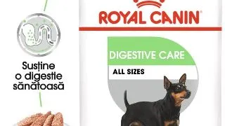 Royal Canin Digestive Care Adult hrana umeda caine, confort digestiv (pate), 12 x 85g