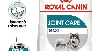 Royal Canin Maxi Joint Care Adult hrana uscata caine, ingrijirea articulatiilor, 10 kg
