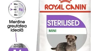 Royal Canin Mini Sterilised Adult hrana uscata caine sterilizat, 1 kg