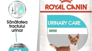 Royal Canin Mini Urinary Care hrana uscata caine, sanatatea tractului urinar, 1 kg