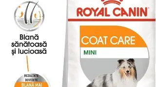 Royal Canin Mini Coat Care Adult hrana uscata caine, blana sanatoasa si lucioasa, 1 kg
