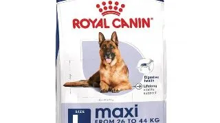 Royal Canin Maxi Ageing 8+ hrana uscata caine senior, 15 kg