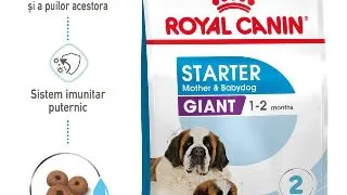 Royal Canin Giant Starter Mother Babydog, mama si puiul, hrana uscata caine, 15 kg