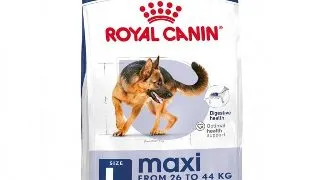Royal Canin Maxi Adult hrana uscata caine, 15 kg