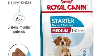 Royal Canin Medium Starter Mother Babydog, mama si puiul, hrana uscata caine, 4 kg