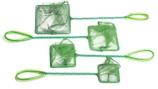 Minciog - 10 cm