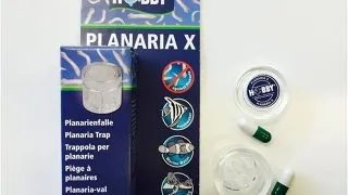Capcana pentru planaria Hobby Planaria X