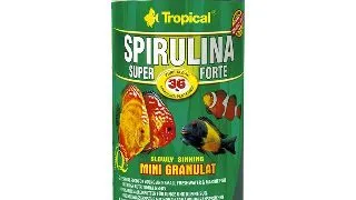 Tropical Spirulina Super Forte Mini granulat 100ml
