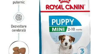 Royal Canin Mini Puppy hrana uscata caine junior, 800g